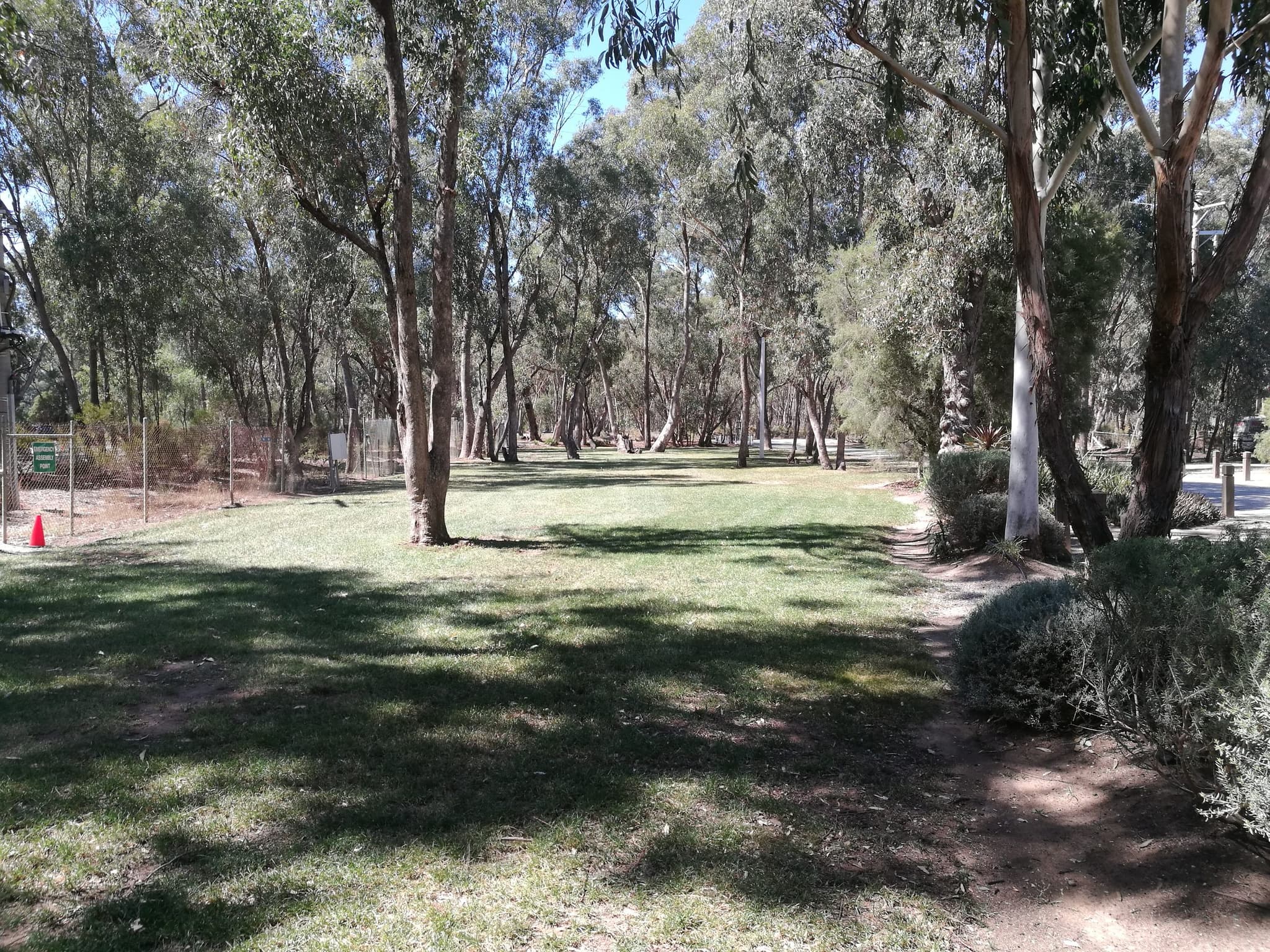 Open grassy unpowered campsites shaded by tall river gums at Torrumbarry Weir Holiday Park, Patho VIC