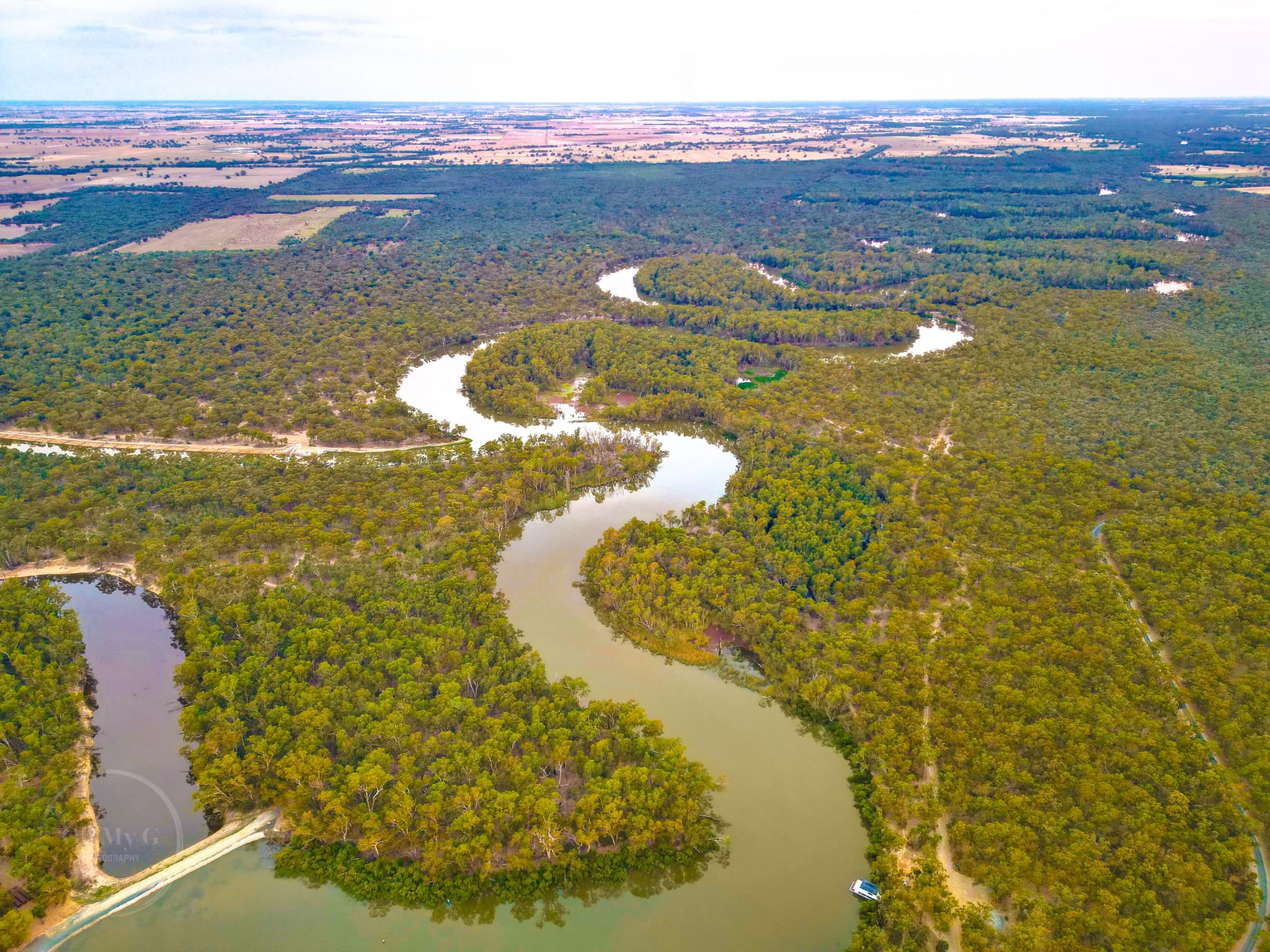 High aerial view of the Murray River winding through gum tree forest near Torrumbarry Weir Holiday Park, Patho VIC