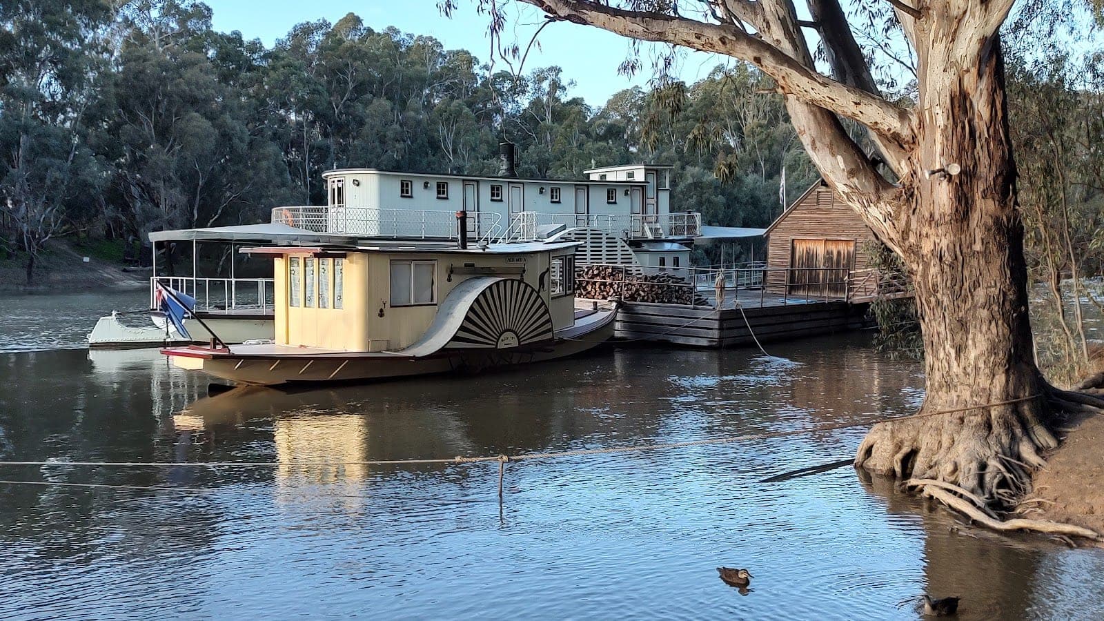 Historic paddle steamer moored on the Murray River near Echuca, a popular day trip activity for guests staying at Torrumbarry Weir Holiday Park
